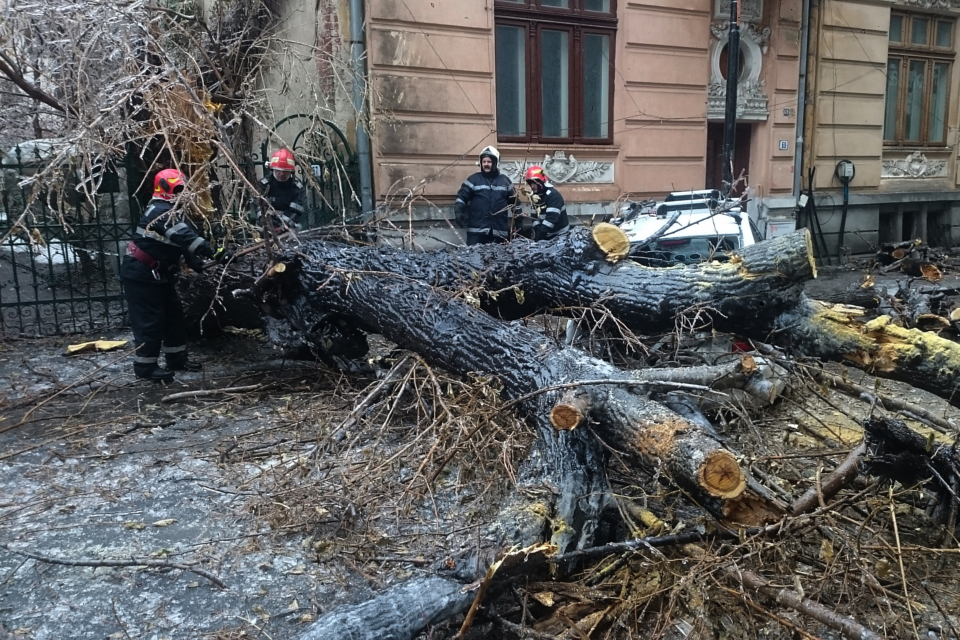 Copaci doborâți de vânt în București: Trei adulți și un copil au ajuns la spital / Mai multe mașini au fost avariate