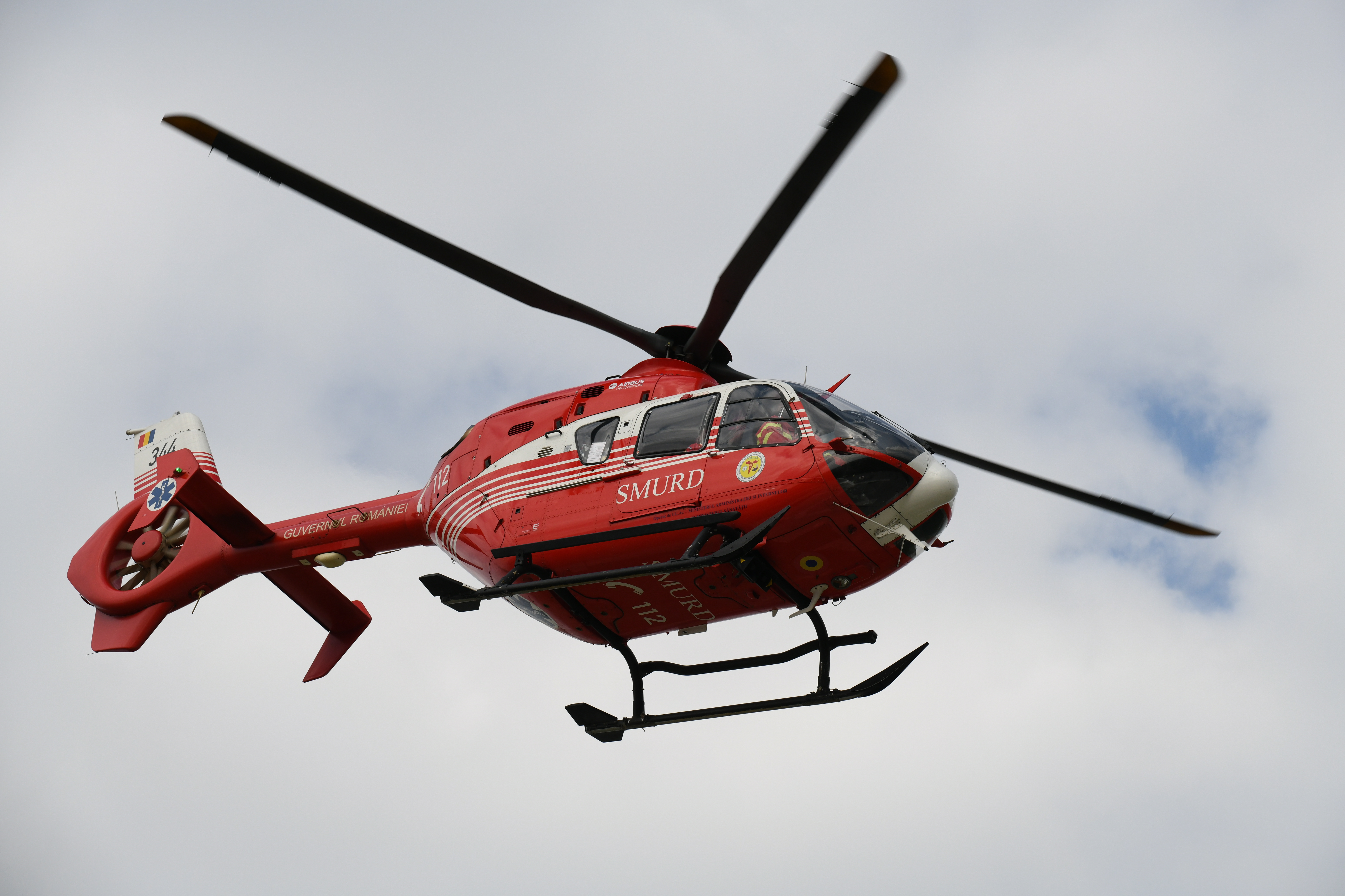 Cioban atacat de urs, într-o localitate din Harghita. Bărbatul a suferit răni grave și a fost solicitat de urgență un elicopter SMURD