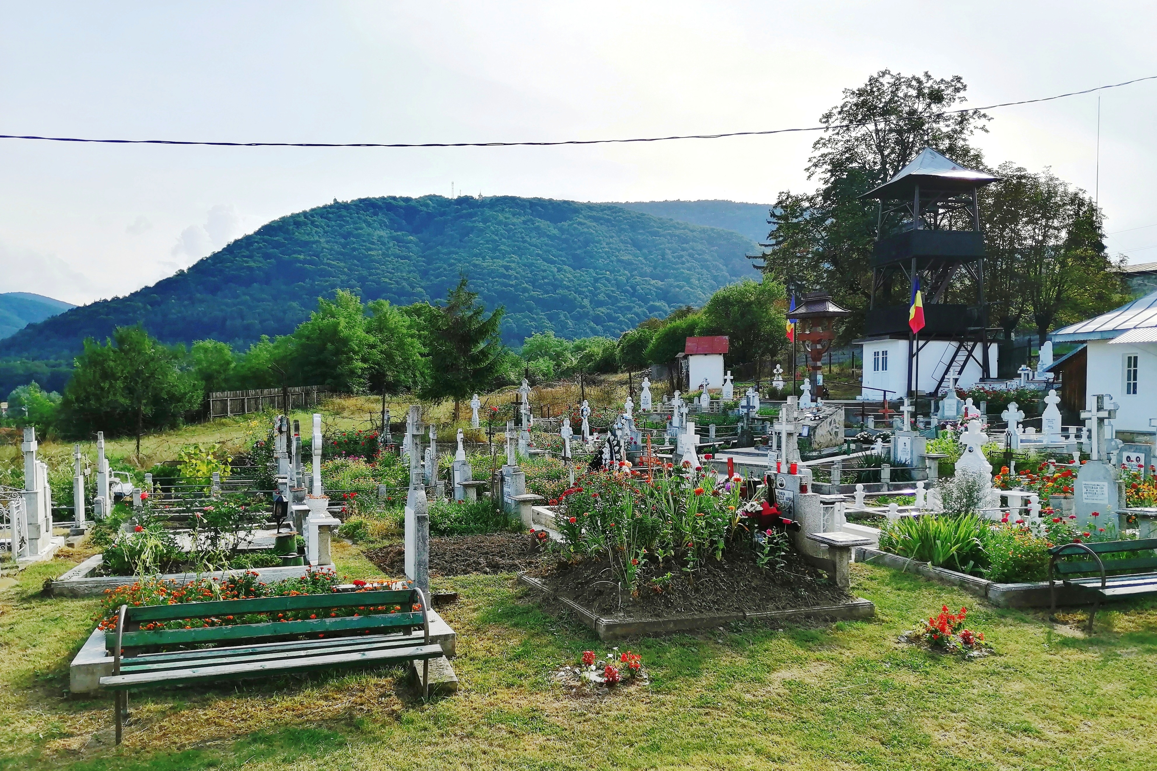 Mai multe morminte dintr-un cimitir din Ialomița, distruse de patru puștani, cu vârste între 12 și 16 ani. Au pus la pământ zeci de cruci din beton