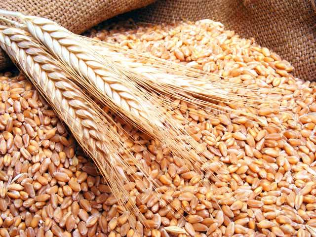 LIVE | Război în Ucraina, ziua 251: Prețul grâului au crescut puternic în toată lumea după retragerea Rusiei din acordul de export al cerealelor prin Marea Neagră