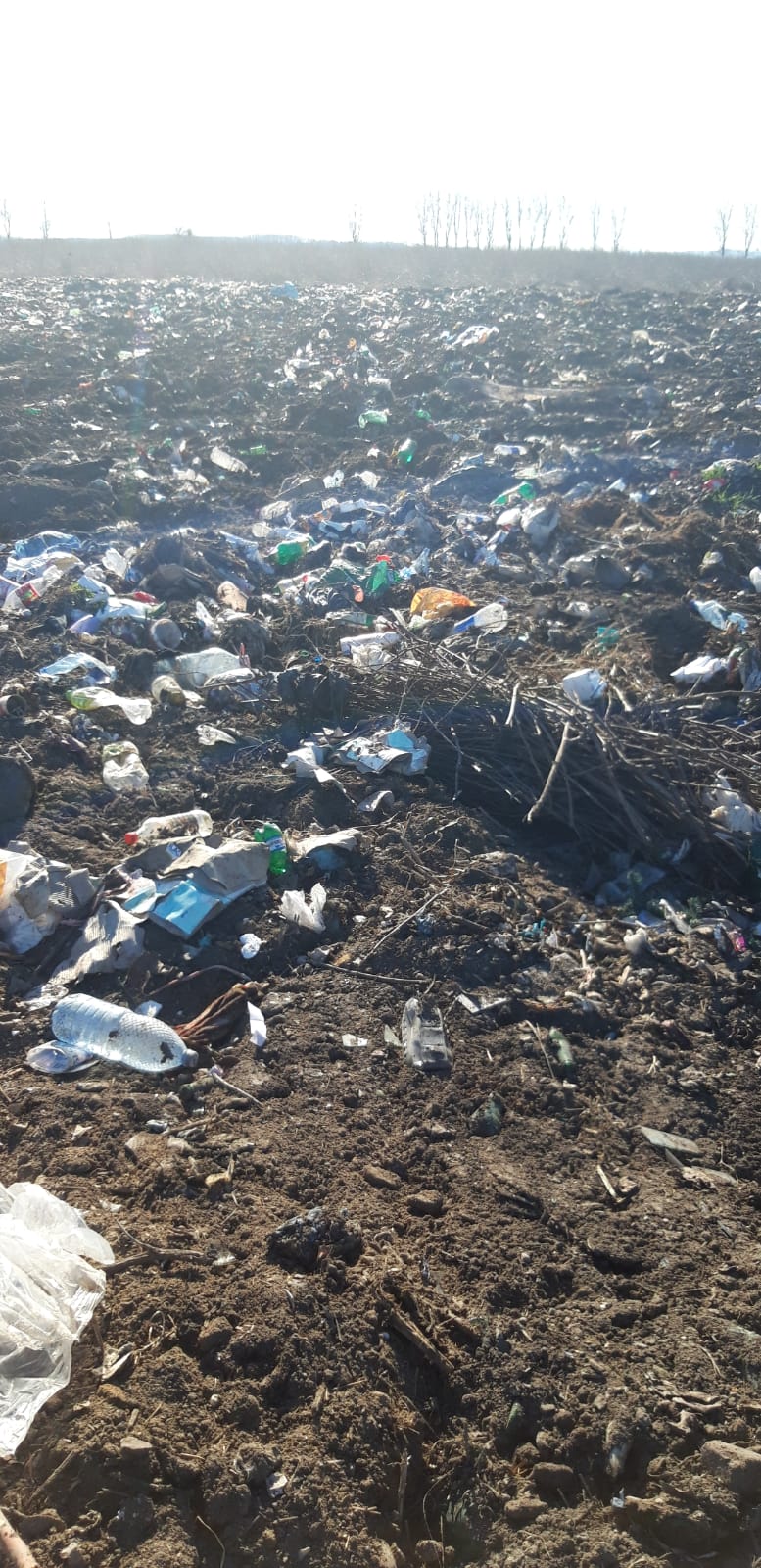 CONTROVERSE LOCALE | O groapă de gunoi ilegală dintr-o comună ar fi ...