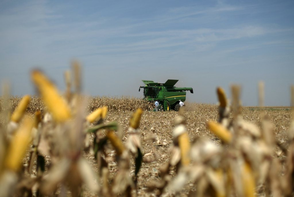 Ministrul Agriculturii anunță că un insecticid controversat va fi utilizat doar la sfeclă de zahăr şi porumb. Apicultorii cer interzicerea lui