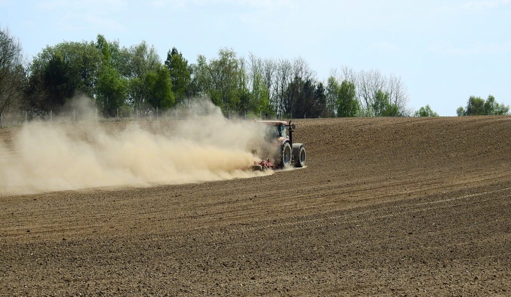 Dezastru în agricultură: Producția de cereale a României s-a înjumătățit anul acesta din cauza secetei pedologice