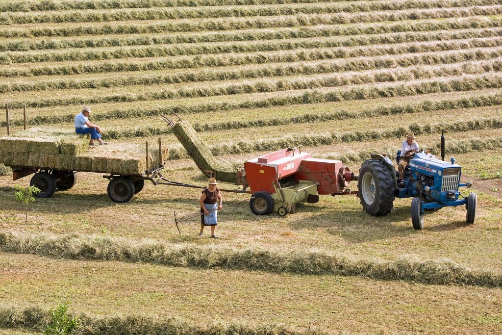 Buget 2021. Principalele programe în care Ministerul Agriculturii crește finanțarea. Există și domenii cu alocare zero