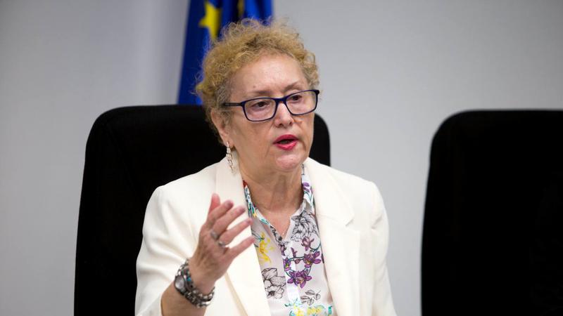 Renate Weber: Procedura de demitere din funcția Avocatului Poporului încalcă articolul 60 din Constituție