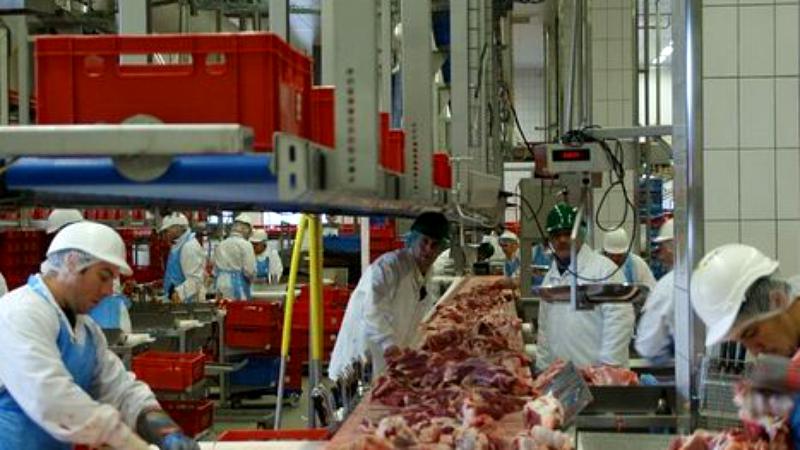 Români și bulgari, tratați precum „sclavii” într-un abator din Germania. „Era foarte frig și umezeală. Mi-am auzit colegii plângând”