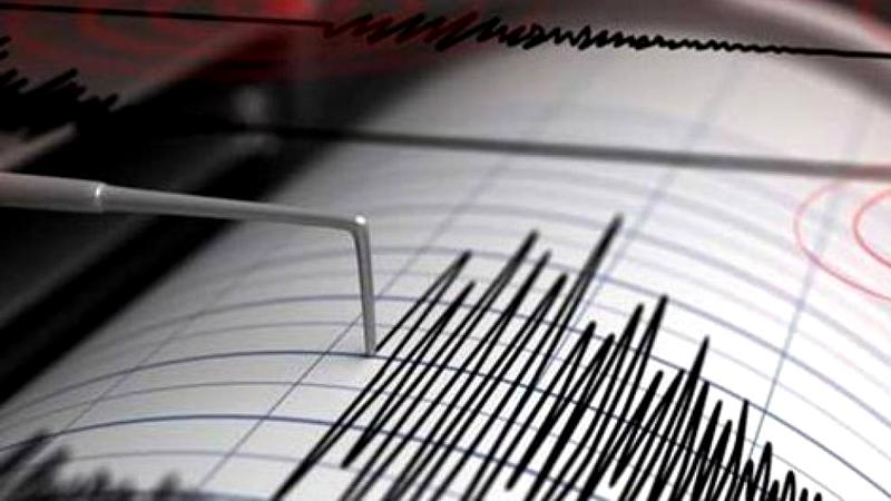 Cutremur în Buzău. Ce magnitudine a înregistrat seismul