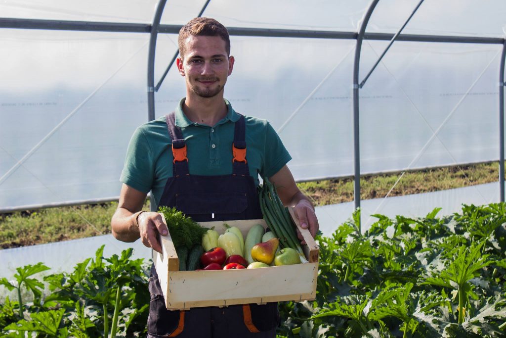 Sprijin. Guvernul alocă 1 miliard lei pentru finanțarea întreprinderilor mici și mijlocii din agricultură. Condiția în care suma poate crește