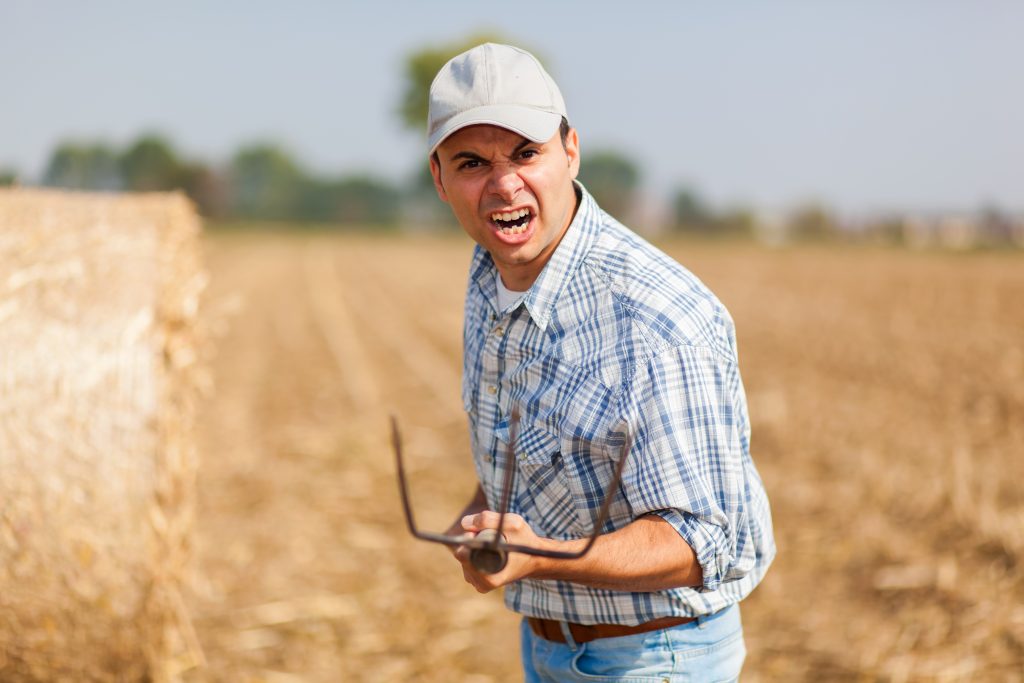 Decizie. Fermierii protestează față de bugetul alocat de Ministerul Agriculturii unei măsuri de sprijin. Este în joc soarta a 90.000 de cultivatori
