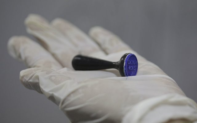 Cum îți pot anula VOTUL, dacă nu ești atent unde pui ștampila/14 PREZIDENȚIABILI români așteaptă ca alegătorii lor să-i trimită la COTROCENI