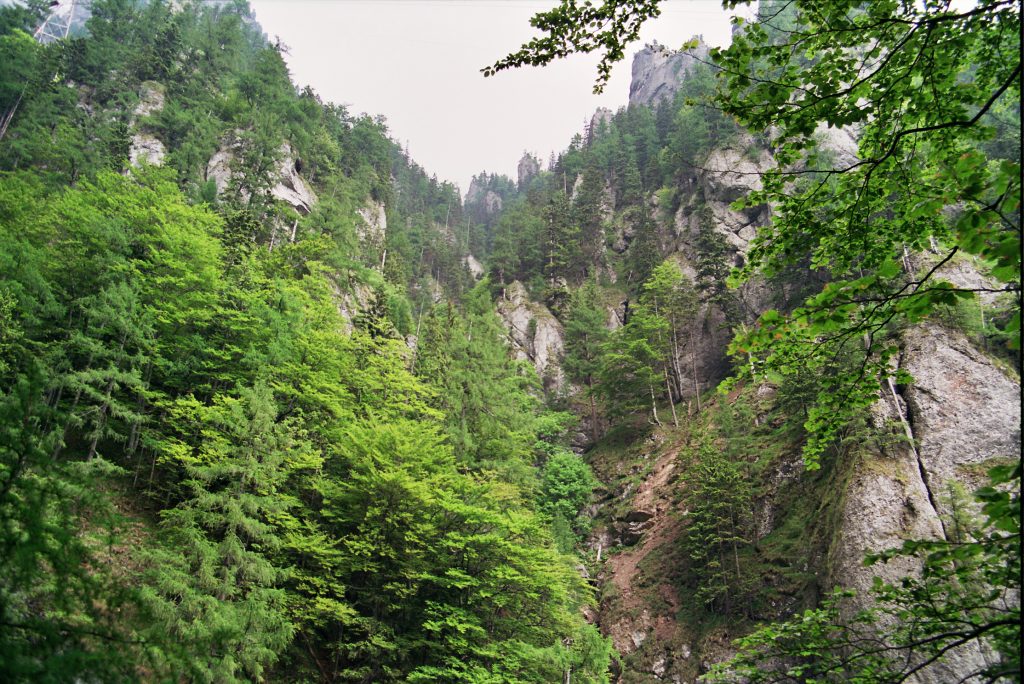 Doi TURIȘTI din Germania, blocați în Munții Bucegi. Traseul dificil pe care l-au urmat