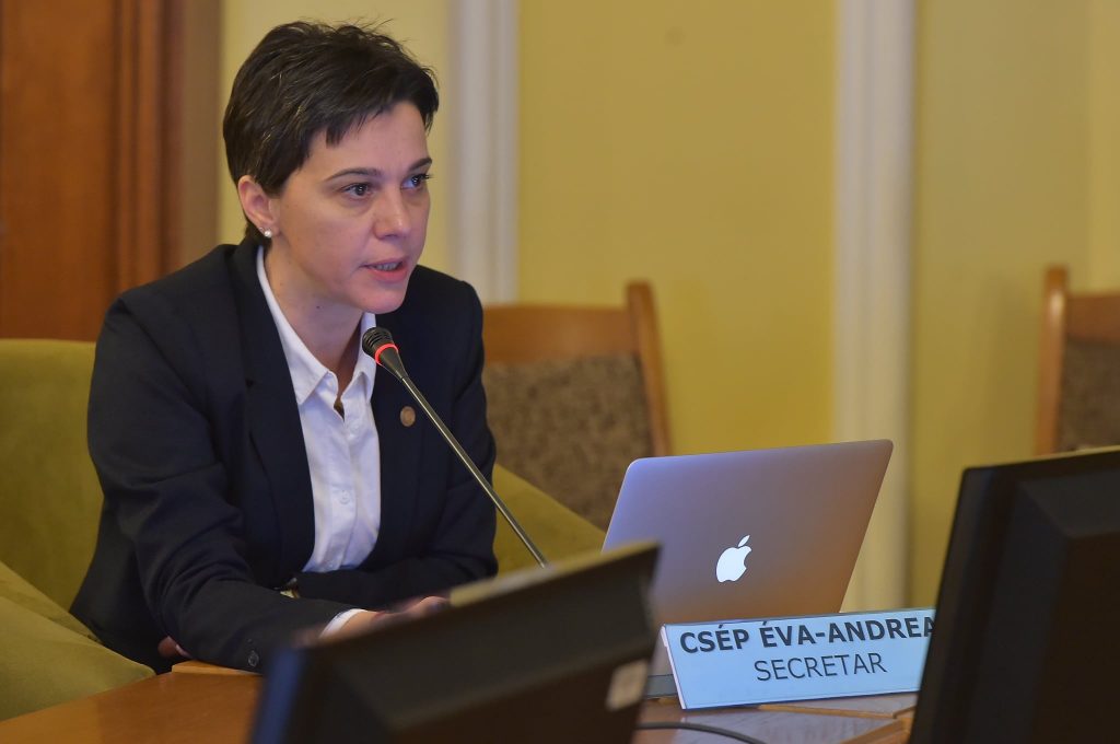 Deputată UDMR, dată în judecată de propriul copil! Fiul a câștigat dreptul de a primi în continuare pensie alimentară