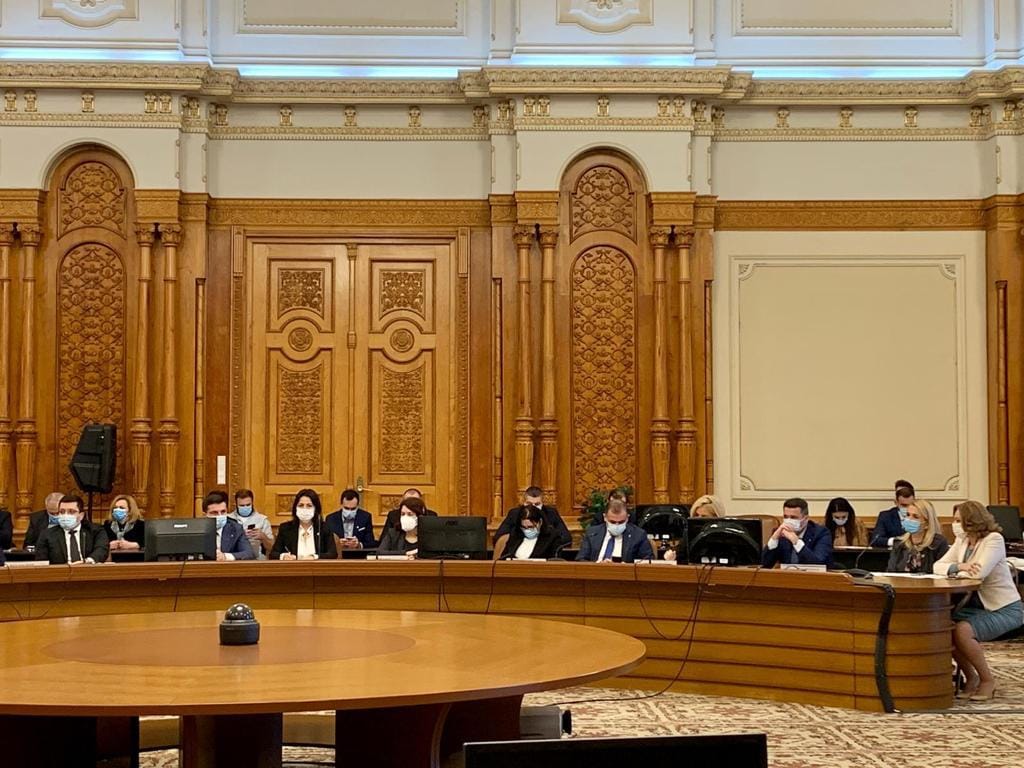 Simona-Maya Teodoroiu, fost judecător CCR: ”Depolitizare nu înseamnă semi-politizare. Audierile în Comisia Juridică au fost o simplă mascaradă!”