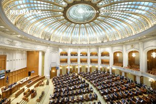 Parlamentul a aprobat proiectul privind combaterea antiţigănismului. Până la 10 ani de închisoare pentru discriminarea romilor