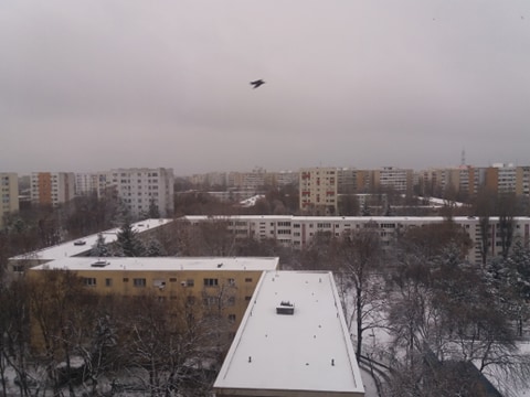 Prognoza meteo, 10 decembrie 2020. Vremea se va încălzi, dar va fi în general închisă și va ploua