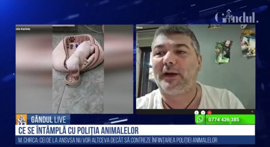 Marius Chirca, președintele Asociației Kola Kariola, la GÂNDUL LIVE: „Un proiect demarat de A.N.S.V.S.A contrează proiectul demarat de ministrul de Interne, Marcel Vela. Încurajează hingheritul public”