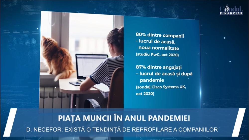Piața muncii în anul pandemiei: Predomină superficialitatea și neseriozitatea. Lipsesc oamenii potriviți pentru joburile de înaltă calificare. Ce caută angajații și ce vor angajatorii?