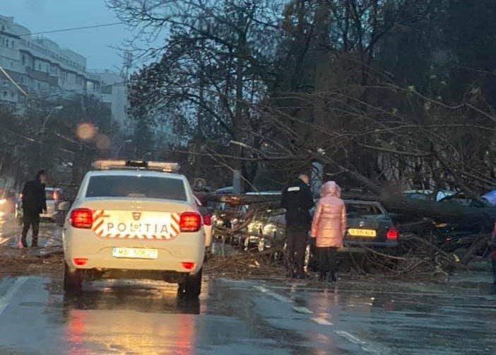 Încă un copac a căzut în Capitală peste trei mașini, pe Calea Giulești!