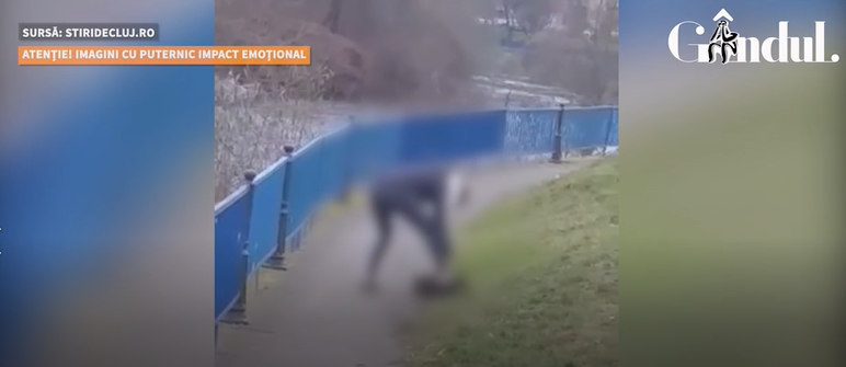 GÂNDUL LIVE. O femeie din Cluj-Napoca și-a lovit câinele cu sălbăticie
