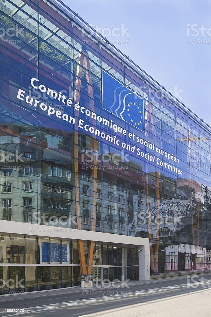 Premierul interimar i-a numit pe reprezentanţii societăţii civile în cadrul Consiliului Economic şi Social (CES)