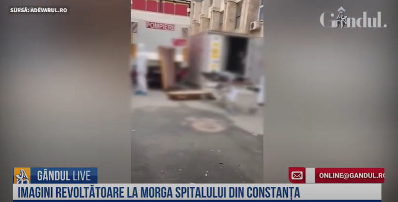 GÂNDUL LIVE. Femeia atacată de patru Rottweileri, în stare gravă/ Curtea Spitalului Județean Constanța a fost transformată în morgă