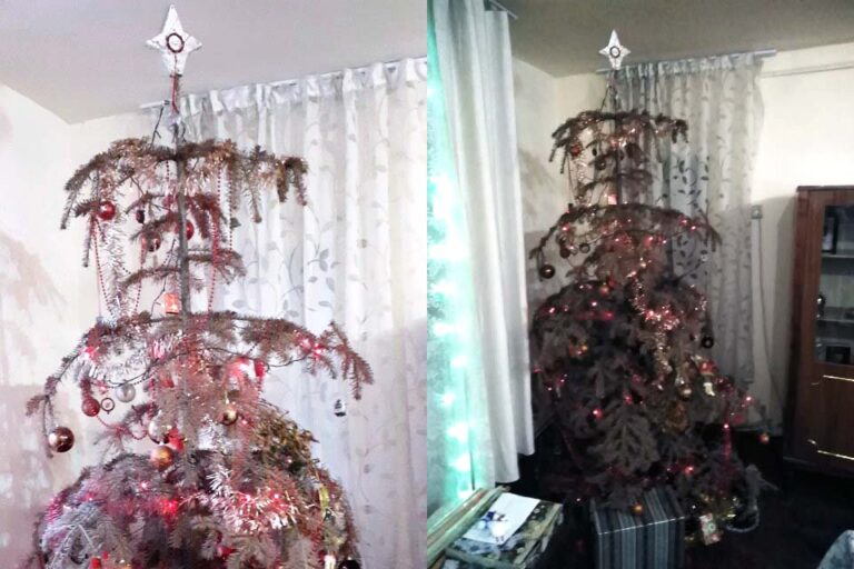 Doi frați din Aiud au în apartament un brad de Crăciun care rezistă de 14 ani. “Era prea frumos să-l aruncăm!”