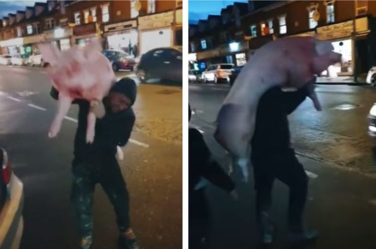 VIDEO. Imagini incredibile. Trei români au șocat Londra: Au tăiat porcul și au defilat cu el prin oraș
