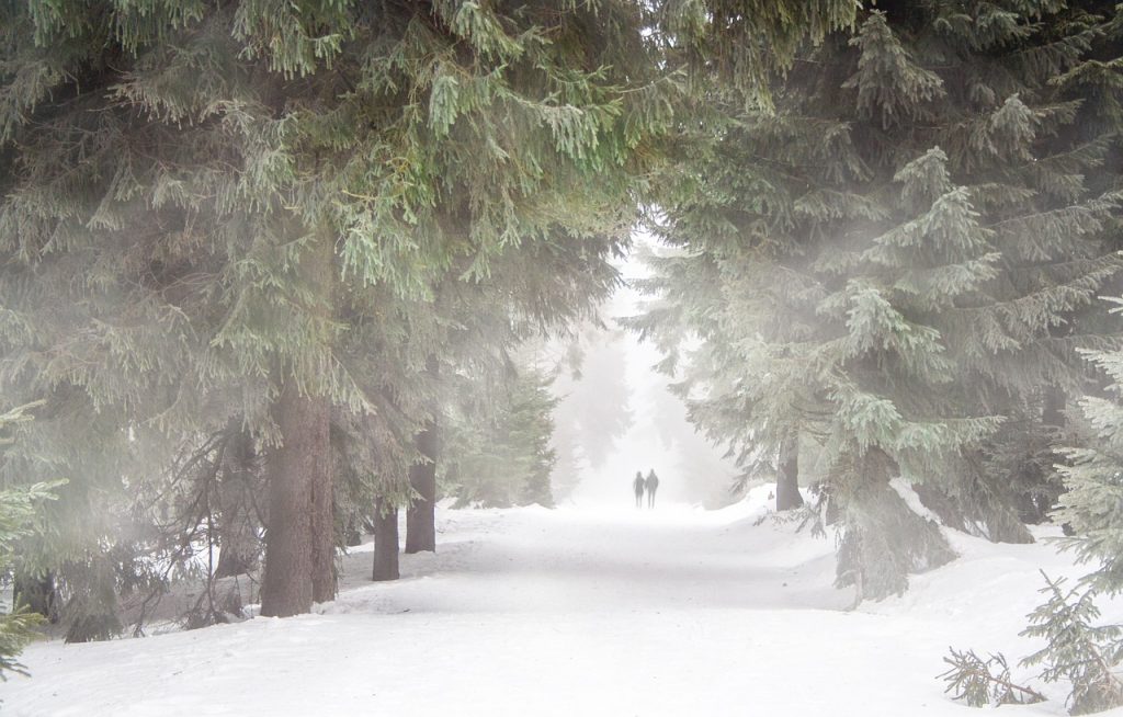 Adevăr, nu ficțiune! Școala unde elevii fac cursuri la -51 de grade Celsius