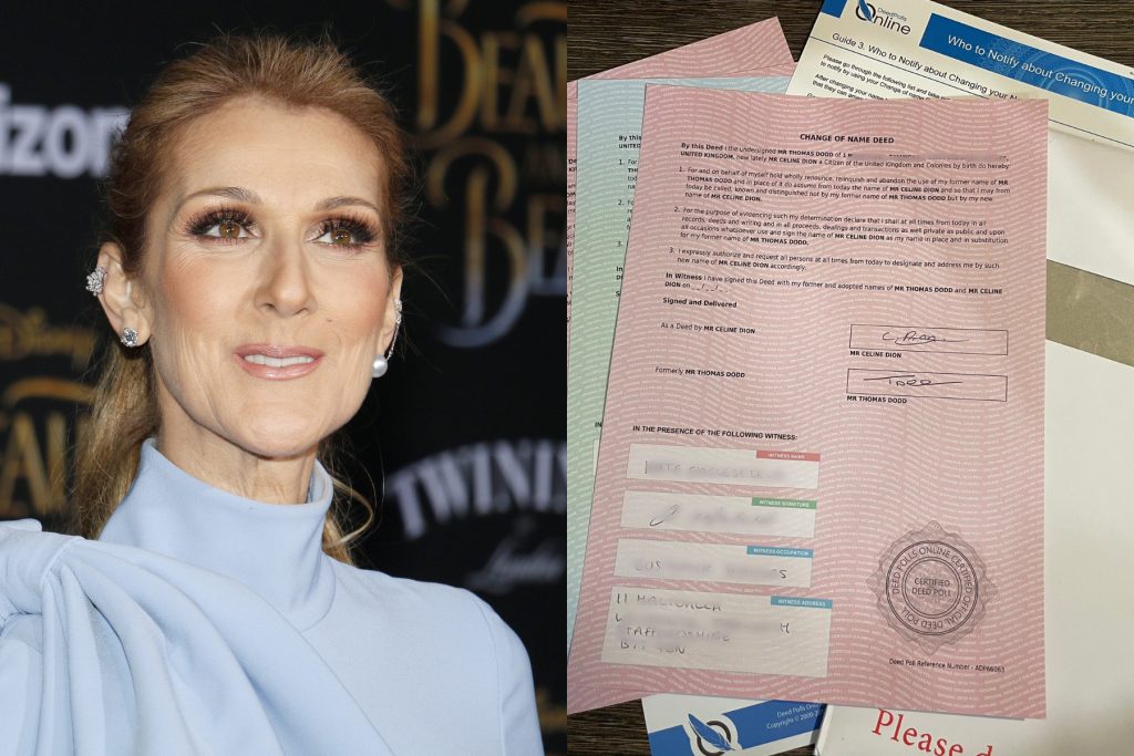 Băutura, bat-o vină! Și-a schimbat numele în Celine Dion după o noapte de pomină. Ce s-a întâmplat când și-a dat seama de grozăvia făcută – FOTO