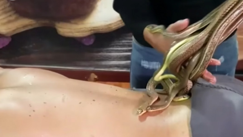 Masaj cu șerpi, pentru relaxare și calmarea durerilor musculare și articulare! Cât costă o ședință și unde se poate face (VIDEO)