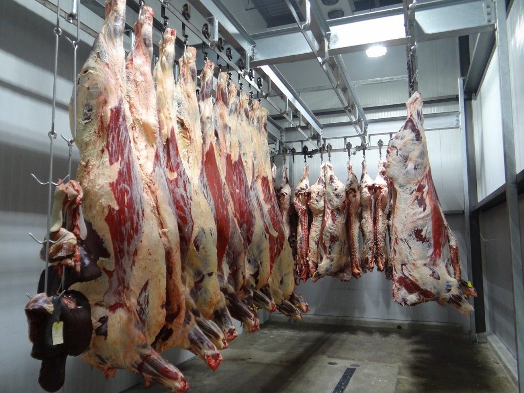 Românii, „carne de tun” pentru abatoarele germane! „Vin în țară și tot ce au câștigat dau la doctori!”
