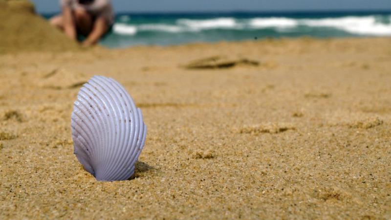 Descoperire macabră în Italia. Două organe, posibil umane, au fost găsite pe o plajă din regiunea Lazio