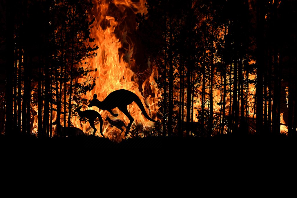 Oamenii de știință de top avertizează cu privire la „viitorul teribil al extincției în masă” și la perturbarea climatului: „Deteriorarea mediului este infinit mai amenințătoare pentru civilizație decât Trumpismul sau COVID-19”