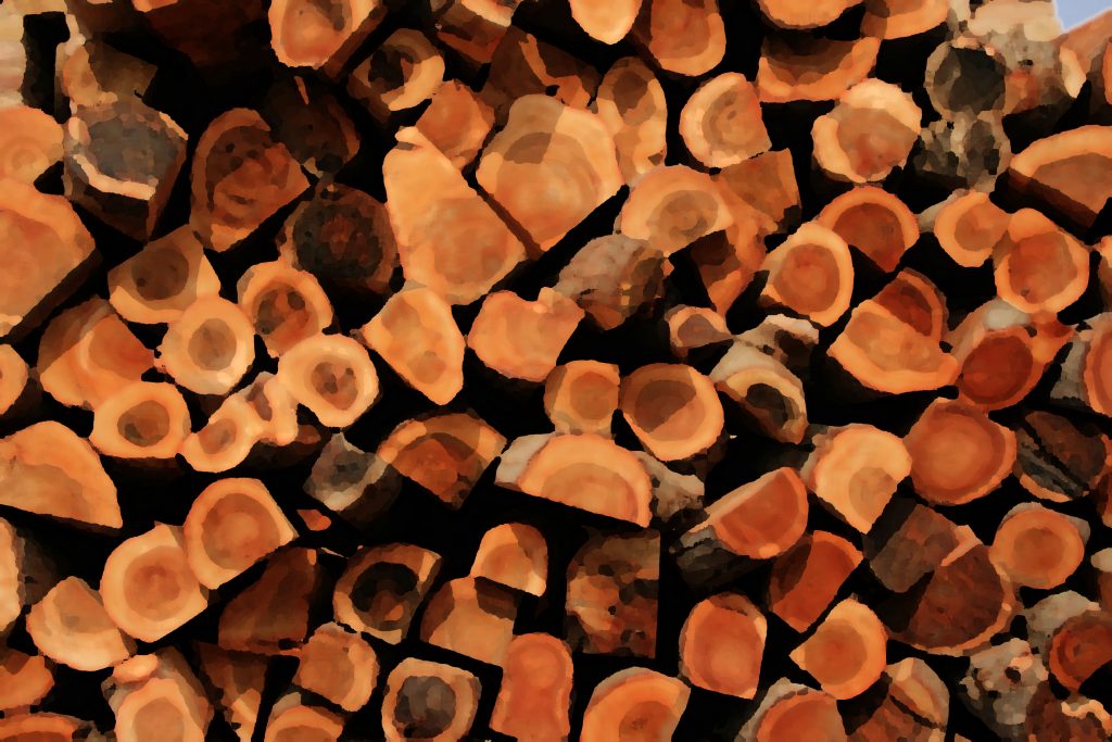 Amenzi de peste 26 de milioane de euro pentru 31 de companii de pe piața comercializării lemnului. Cea mai mare sancțiune, luată de Holzindustrie Schweighofer