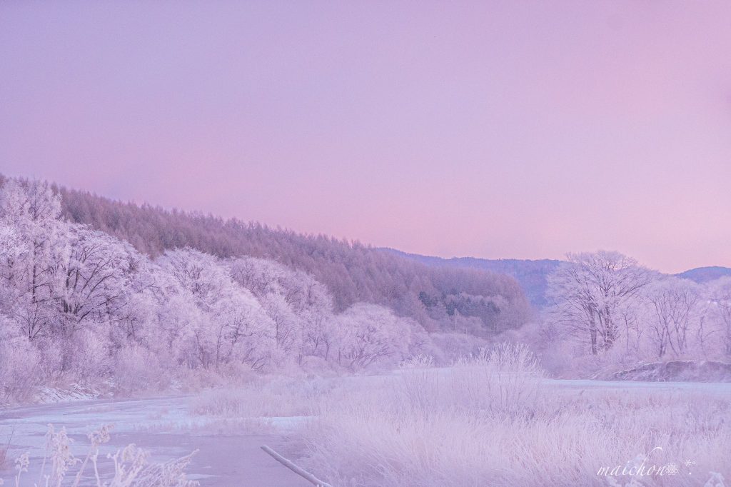 Furtună de zăpadă în Japonia! Insula Hokkaido, sub nămeți! (Galerie FOTO&VIDEO)
