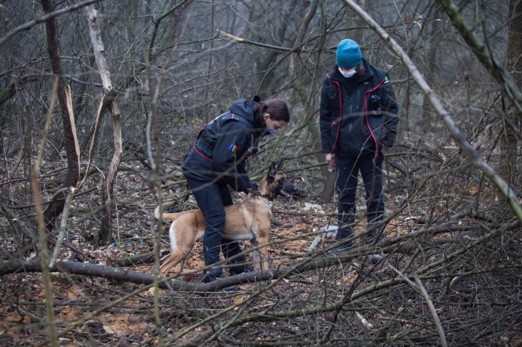 EXCLUSIV. Câinii care salvează vieți: ”Un câine salvator este la fel de eficient ca o echipă de căutare umană formată din 50 de persoane” (FOTOREPORTAJ)