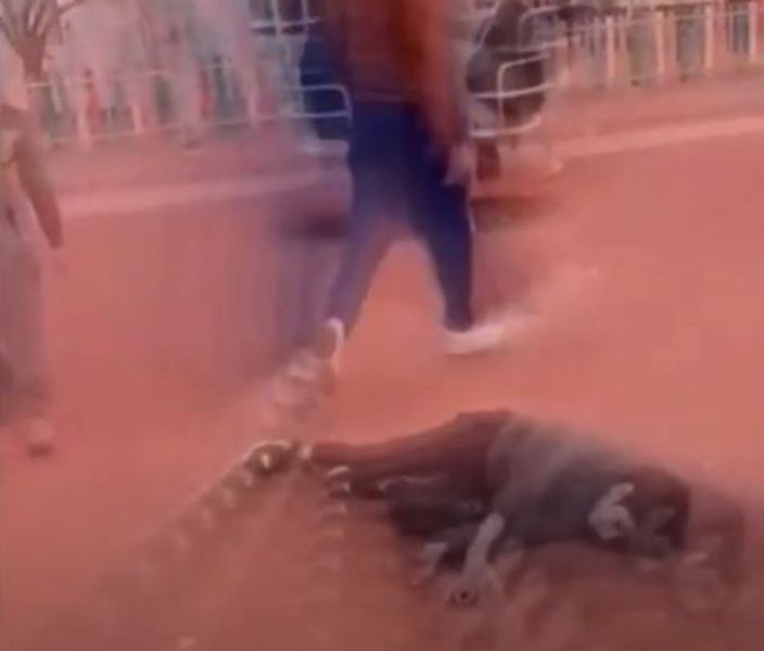 Mama copilului trântit la pământ într-un parc din Hunedoara, declaraţii incredibile despre unchiul fiului ei: “Nu este prima dată când îl bate!”