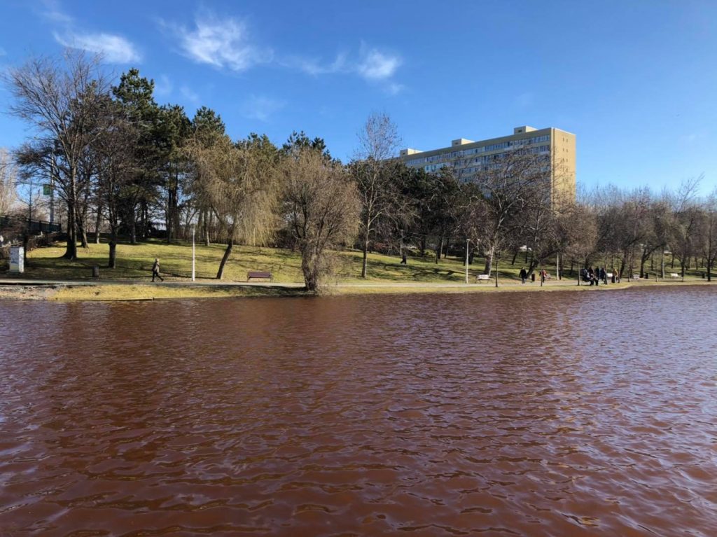 Lacul IOR, poluat cu fecale! Fundația Eco Civica lansează acuze grave (Galerie FOTO)