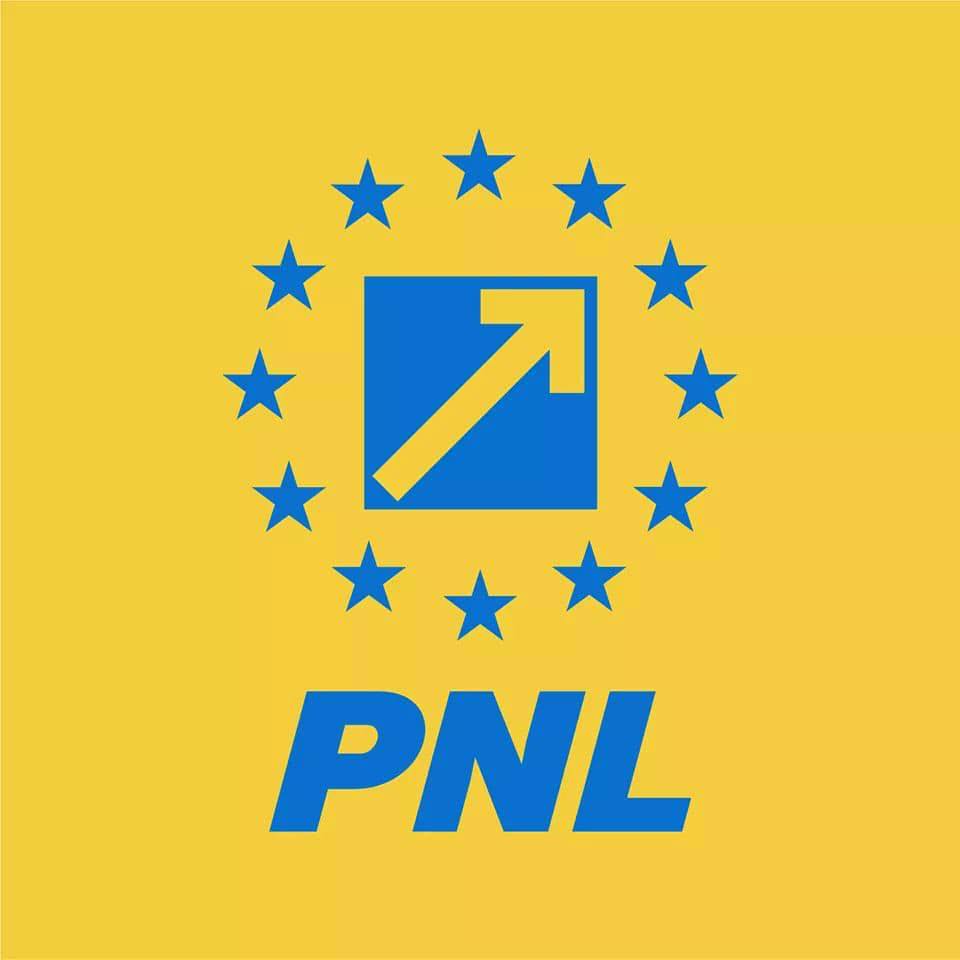 Membrii PNL au retras plângerea împotriva hoților care le-au spart sediul