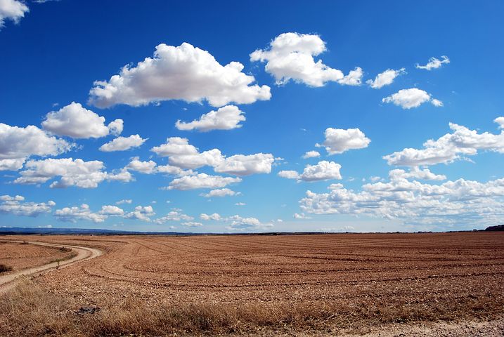 EXCLUSIV GÂNDUL FINANCIAR: Programul AGRO IMM Invest este blocat, nu are norme de aplicare și vine târziu în sprijinul fermierilor. Un miliard de lei zace în seifurile Statului
