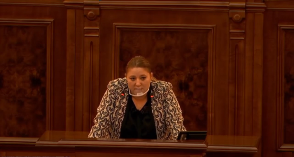 Diana Șoșoacă, revoltată de înțelegerea dintre AUR și USR PLUS: „Numiți-mă pe mine premier și schimbăm tot din Guvern și SIE, SRI!”
