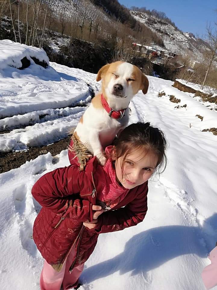 O fetiță de 9 ani și-a cărat câinele în spate, prin zăpadă, pentru a ajunge cu el la veterinar. A mers așa doi kilometri, iar povestea sa a impresionat o lume întreagă