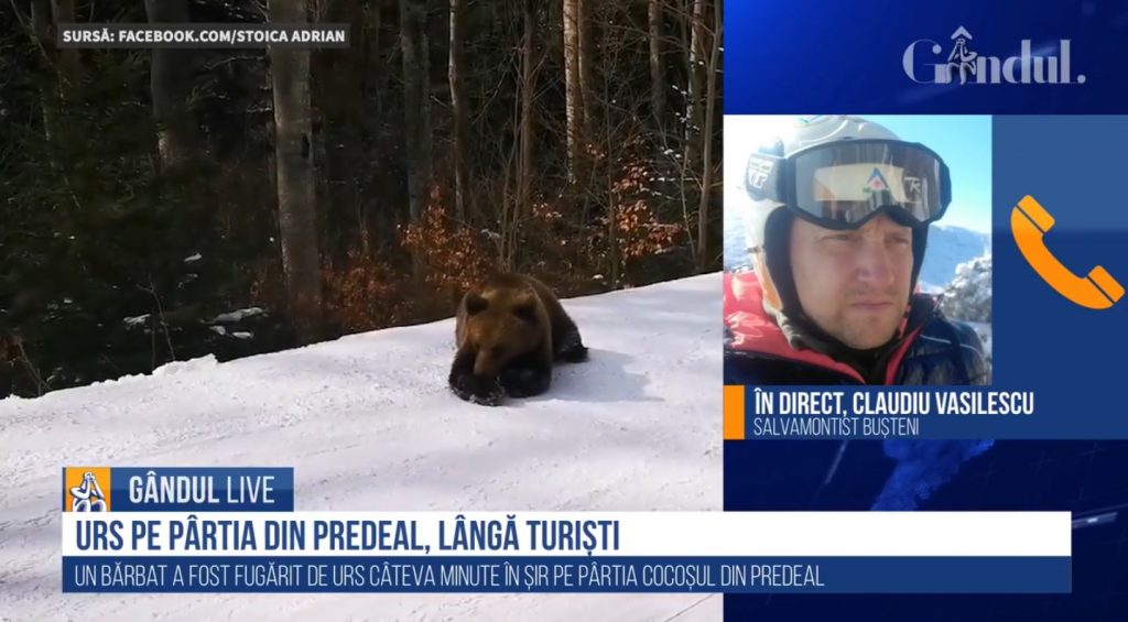 GÂNDUL LIVE. Ce spun specialiștii despre monitorul de schi de la Predeal, care „s-a jucat” cu ursul pentru a salva turiștii: A procedat ca la carte