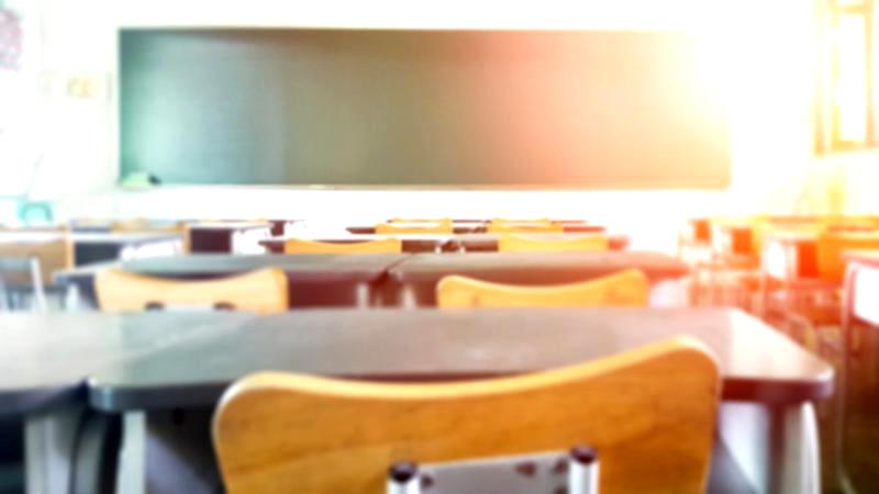 Tezele din acest an școlar sunt suspendate. Cum se va face media semestrială
