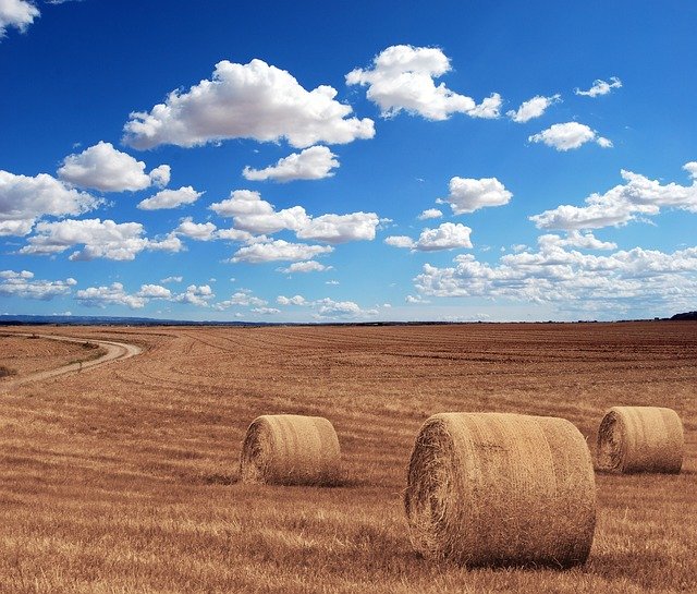 Acord: BRD finanțează fermierii pentru campania agricolă 2021 . Schemele de plată pentru care se acordă banii