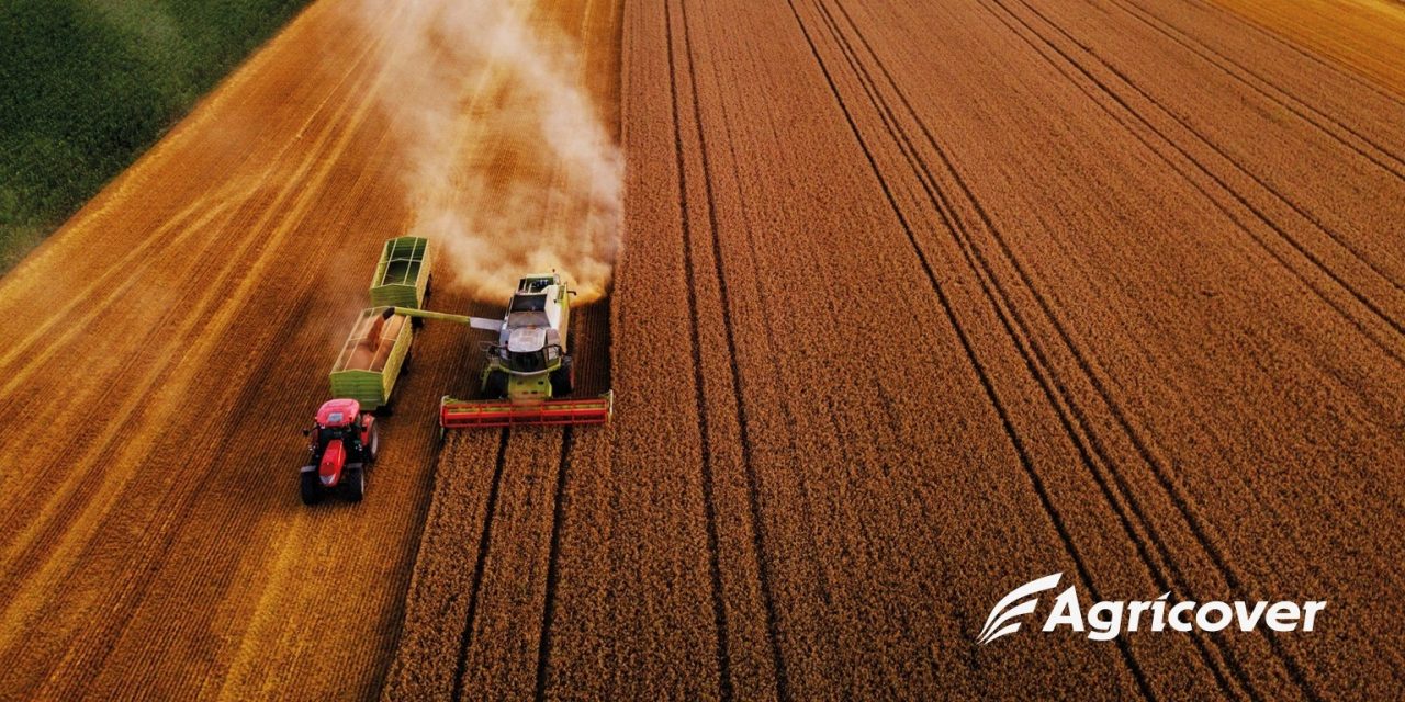 BURSA DE VALORI BUCUREȘTI: Agricover Holding va lansa prima emisiune de obligațiuni pe BVB în valoare de 40 milioane euro