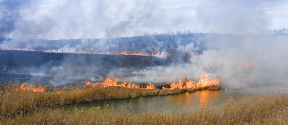 Incendiile de vegetație în contextul schimbărilor climatice. Regiunile din Europa predispuse la incendii și ce se întâmplă în România