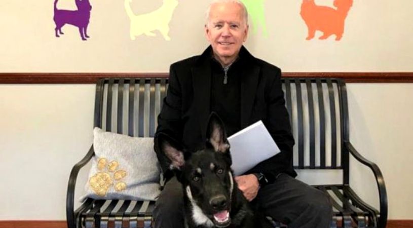 Câinii lui Joe Biden, președintele SUA, interziși la Casa Albă. Cum s-a ajuns la această situație