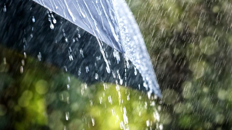 Vremea va fi mai rece și va ploua mai mult în următoarele 14 zile. Când se încălzește afară