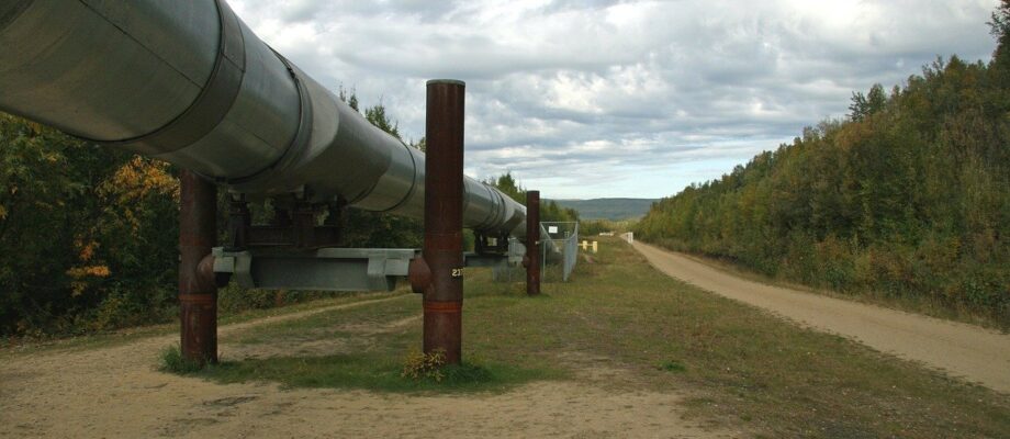 Reducerea consumului de gaz și creșterea eficienței energetice naționale